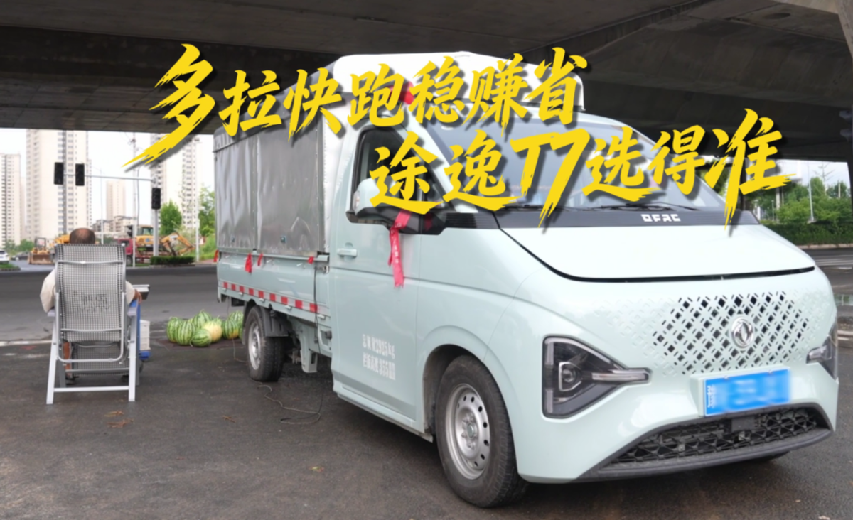 河南瓜农的'省钱搭档'东风途逸T7